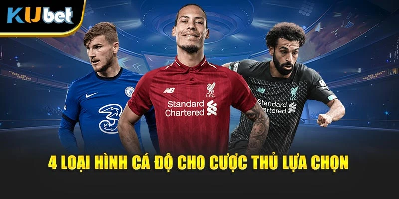 4 loại hình cá độ cho cược thủ lựa chọn