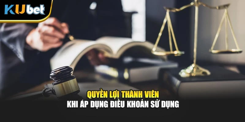 Quyền lợi thành viên khi áp dụng điều khoản sử dụng