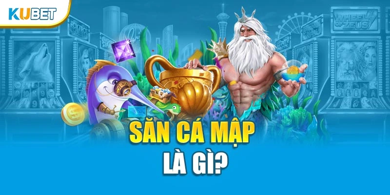 Săn cá mập là gì?