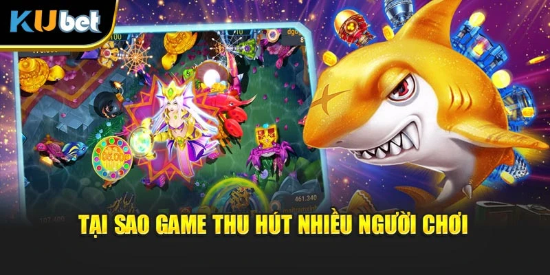 Tại sao game thu hút nhiều người chơi
