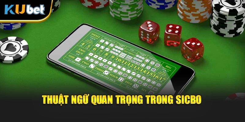 Thuật ngữ quan trọng trong Sicbo